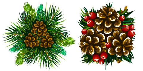 Coniferous  branches and cones. Set of winter decorations from coniferous branches and cones on a white background.