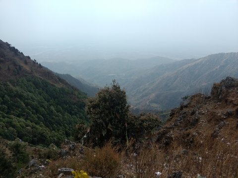 nature