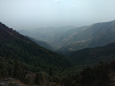 nature