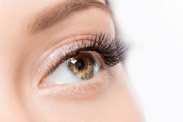 Eyelash extension procedure. Beautiful female eyes with long lashes makeup closeup