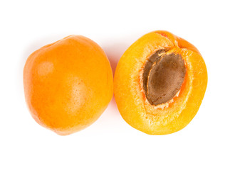 Apricot Group Isolated