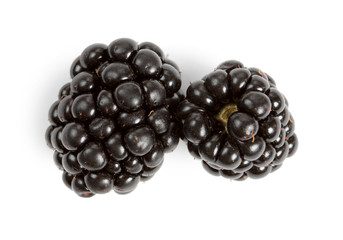 Blackberry Group Isolated