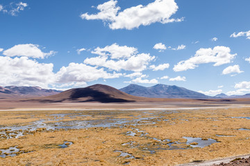 Rio Putana, Atacama Desert, Antofagasta Region, Chile