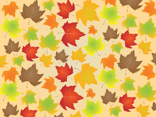 Fototapeta premium Autumn background with colorful maple leaves, leaf fall on a light background. Vector illustration.