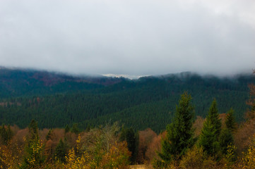 Autumn landscape backgroun in the rain with fog