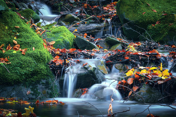 Mountain water stream on stones. Autumn nature in mountain forest river with rock and green moss.