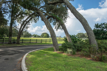 Rural horse farm estate in central Florida