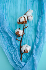 Dry cotton brunch herbarium in soft tones blue and trendy Biscay green gauze textile. Christmas festive flat lay