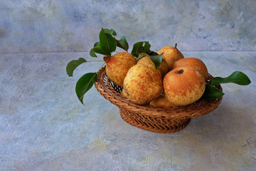 Yellow fresh pears from the home garden in a basket on a gray background. Vitamin fruit is an...