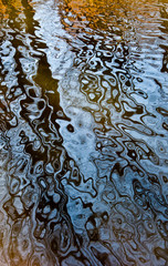 Reflection of tree trunks in ripples of small stream.