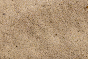 Fototapeta na wymiar Sea sand background, texture, close.