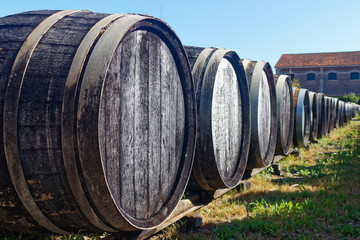 Olds Oak barrels outside, in the south of France