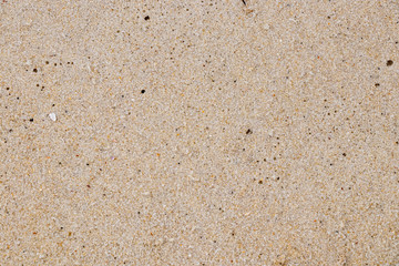 Sea sand background, texture, close.