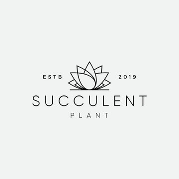 Succulent plant Logo Design Inspiration