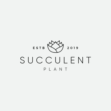 Succulent Plant Logo Design Inspiration