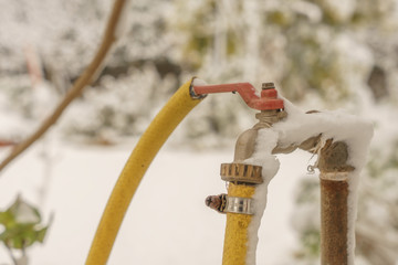frozen faucet to water the garden plants