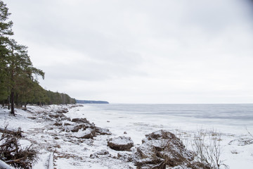 Beautiful scene of frozen lake. Typical scene of a beautiful white Christmas. gulf after a snow storm. Beautiful white scene during winter.snow on the shore of a frozen lake. sky is gray. Waiting for