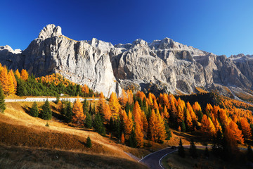 Autumn landscape in Passo Gardena, South Tyrol, Dolomites, Italy