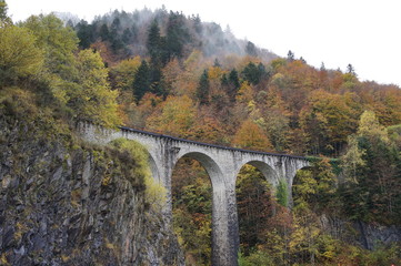 bridge autumn / puente otoño