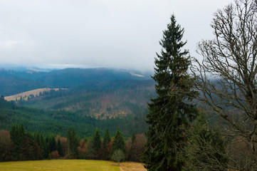 Autumn landscape backgroun in the rain with fog