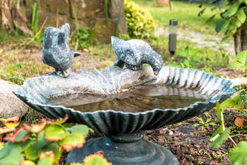Bird bath in the garden