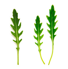 Green arugula leaf isolated on white