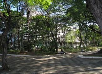 Obraz premium A green and beautiful municipal park in Bauru, SP