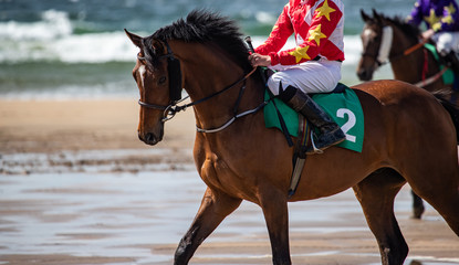 Race horses on the beach on the west coast of Ireland