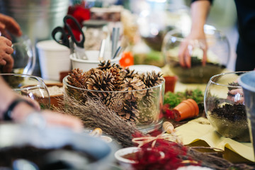 Terrarium Miniature Botanical Horticulture Grow. Terrarium  workshop.. Making Terrarium workshop