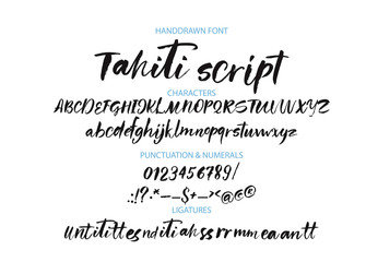 Textured calligraphy hand drawn vector alphabet. Rough grunge font. Latin script typeset with letters and numbers.