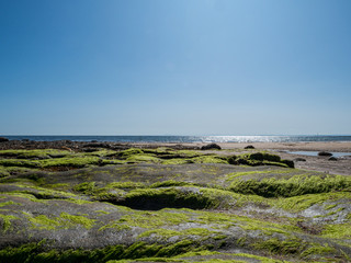 Kamienie na plaży w Brora