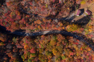 fall colors drone 