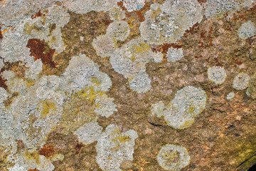 Curbar Gap and Frogatt Edge Hope Valley, Derbyshire Peak District - outdoors for rambling, hiking, and walking. Carboniferous stone boulders, heather and grit rock formations. 