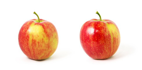 red apple on a white background