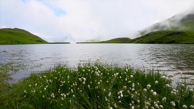 Captivating scene of calm lake Bachalpsee. Location Swiss alps, Grindelwald, Europe.