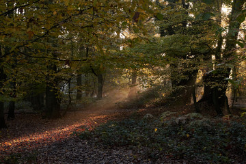 Mardley Heath, Hertfordshire, England