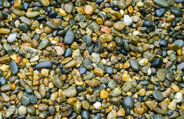 Wet sea pebbles as nature bacground. Beautiful sea stones of different sizes, colors and texsture. Excellent natural concept for any design