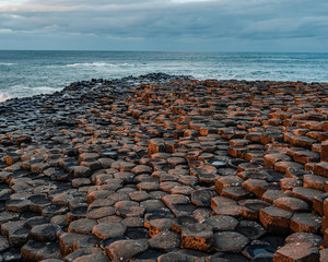 Sidelight at Giant's causeway 