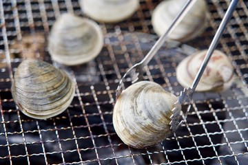 バーベキュー ホンビノス貝 生