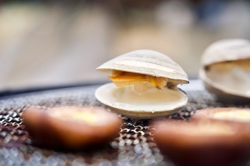 バーベキュー ホンビノス貝と椎茸