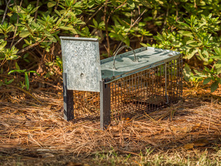 Humane live animal trap. Pest and rodent removal cage. Catch and release wildlife animal control...