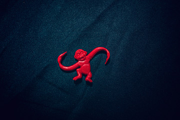 society groups represented with a solo monkey © Taran Schatz
