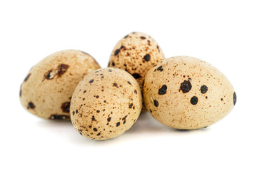 Quail eggs isolated on white background. Eggs quail spotted small on white background