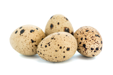 Quail eggs isolated on white background. Eggs quail spotted small on white background