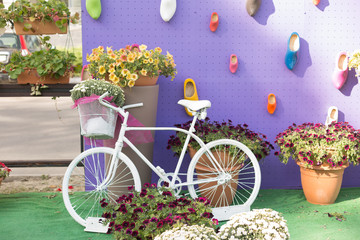 Fototapeta na wymiar white Bicycle on a purple background. bike among the flowers. summer
