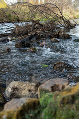 kamienie i gałęzie w rzece Świder