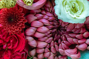 abstract background for greeting card with colorful buds in bouquet