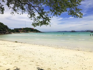 tropical beach and sea