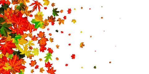 Autumn leaf pattern. Season falling leaves background. Thanksgiving concept