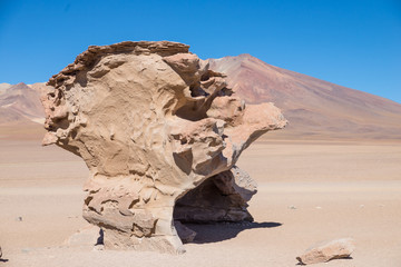 Fototapeta na wymiar Arbor de Piedra, Southwest Bolivia
